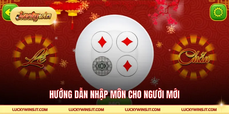 Hướng dẫn nhập môn cho người mới